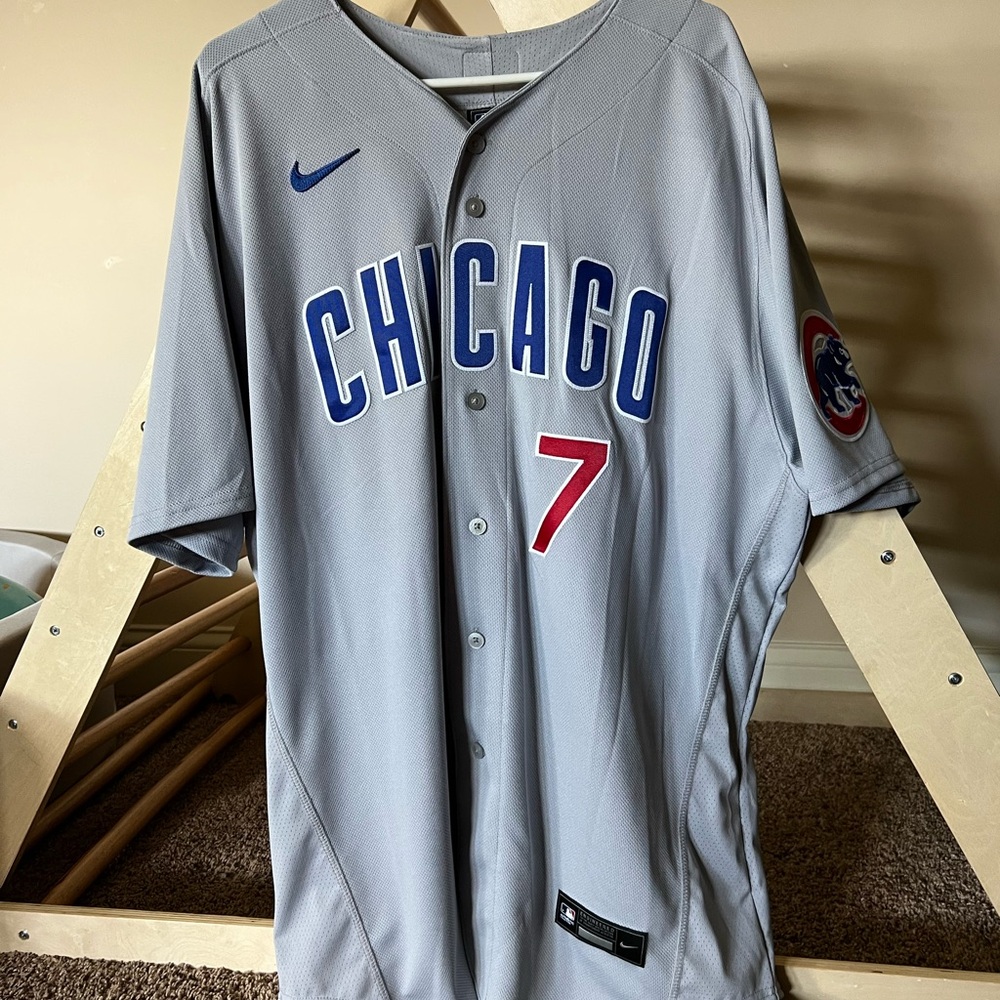 Nike Gray Chicago Cubs Swanson jersey